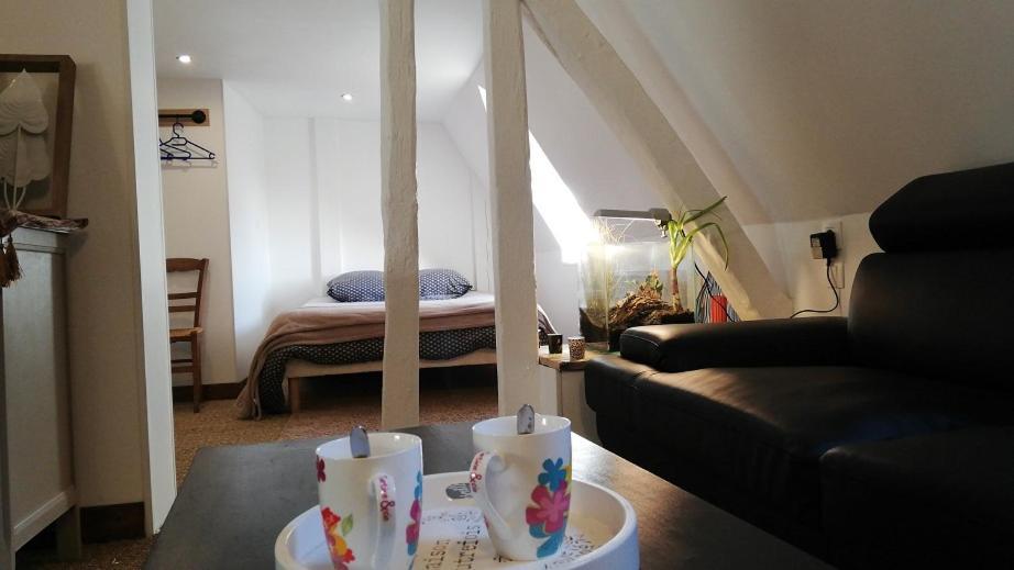 Bed and Breakfast La Belmontaise Beaumont-sur-Sarthe Zewnętrze zdjęcie